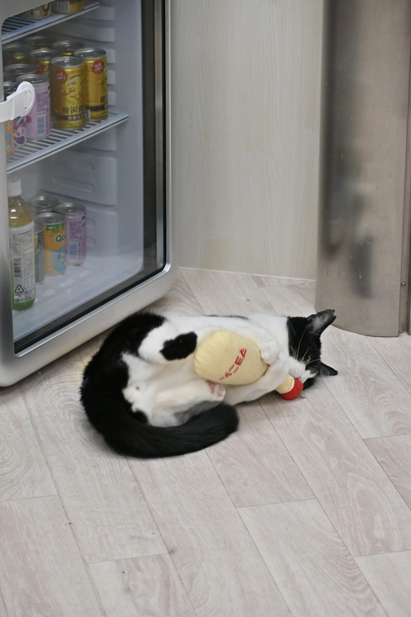画像 : にたま〈ドーム前店所属〉