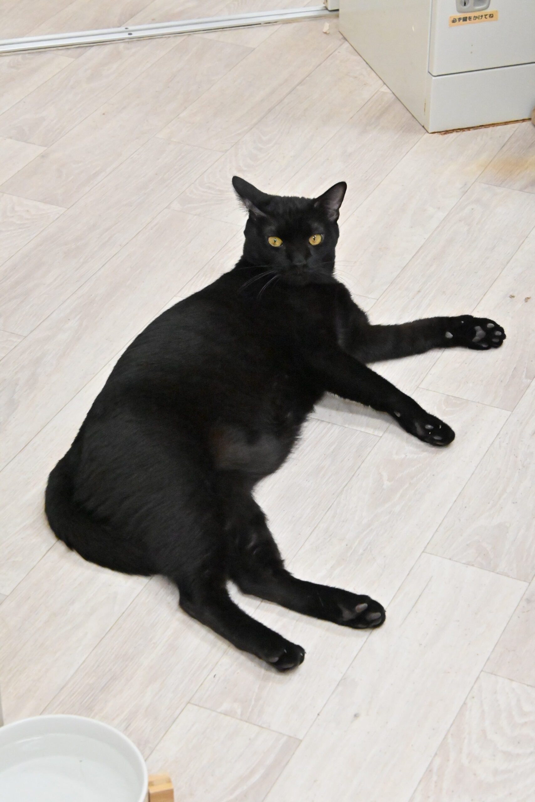 画像 : ふうご〈ドーム前店所属〉