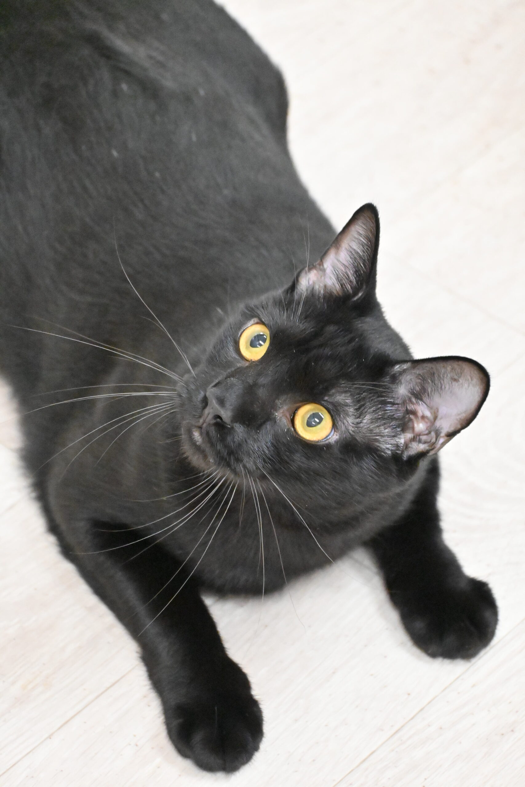 画像 : ふうご〈ドーム前店所属〉