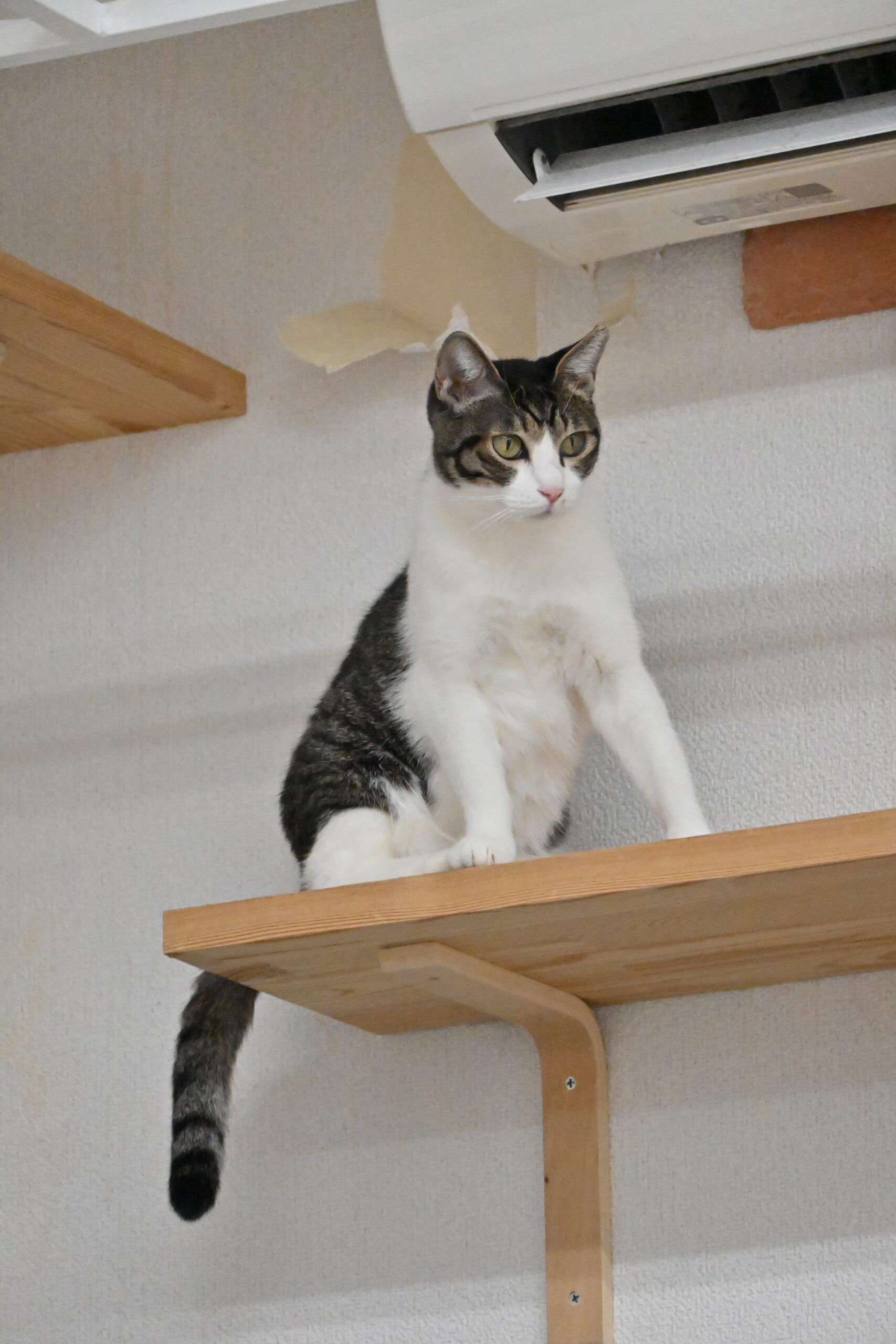 画像 : ゆきめ〈ドーム前店所属〉