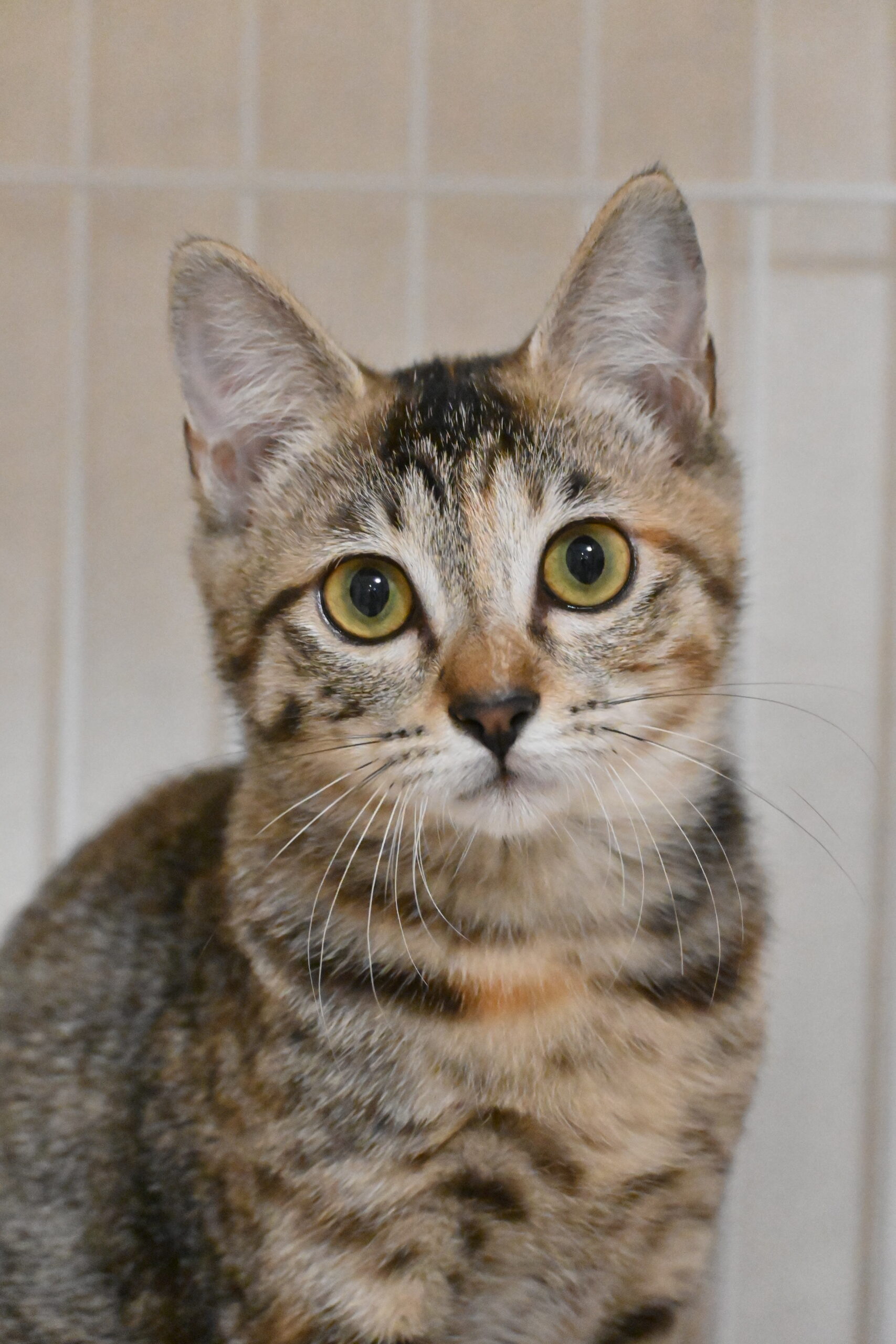 画像 : たけこ〈あべの店所属〉