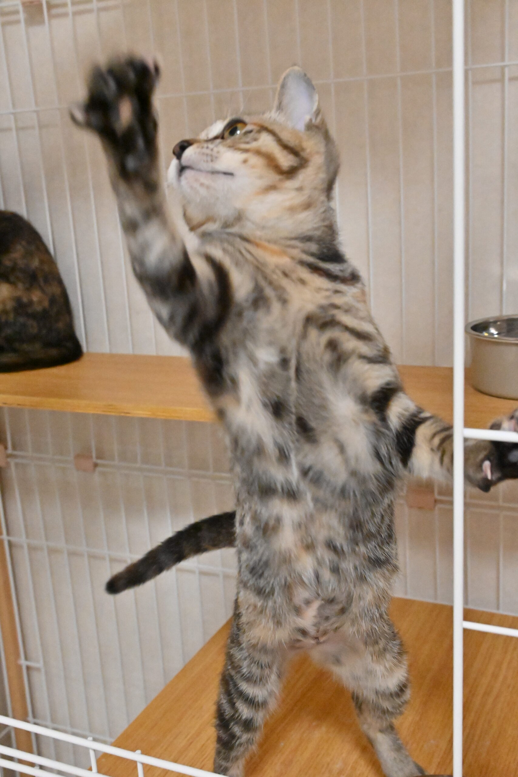 画像 : たけこ〈あべの店所属〉