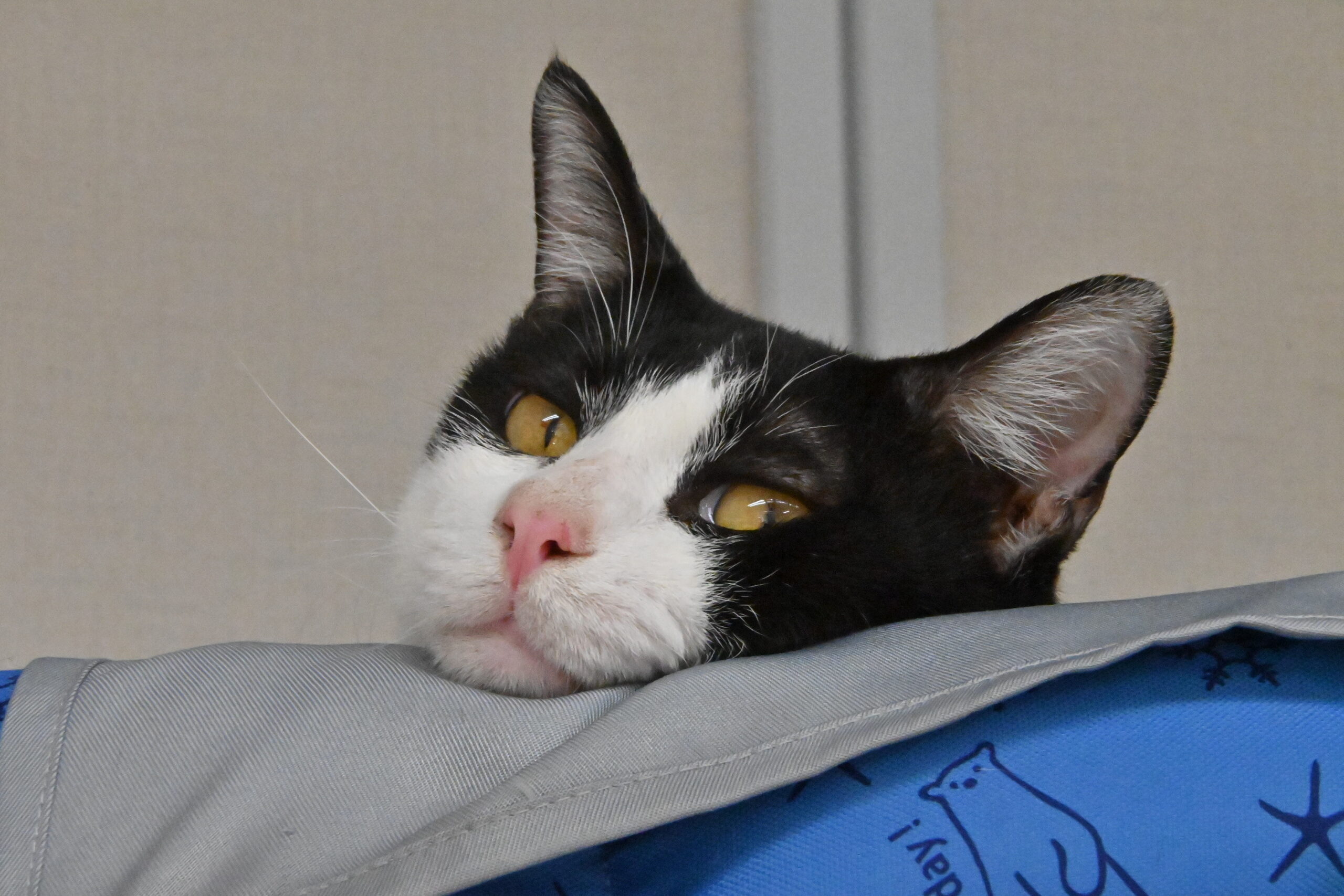 画像 : モノトン【ドーム前店所属】