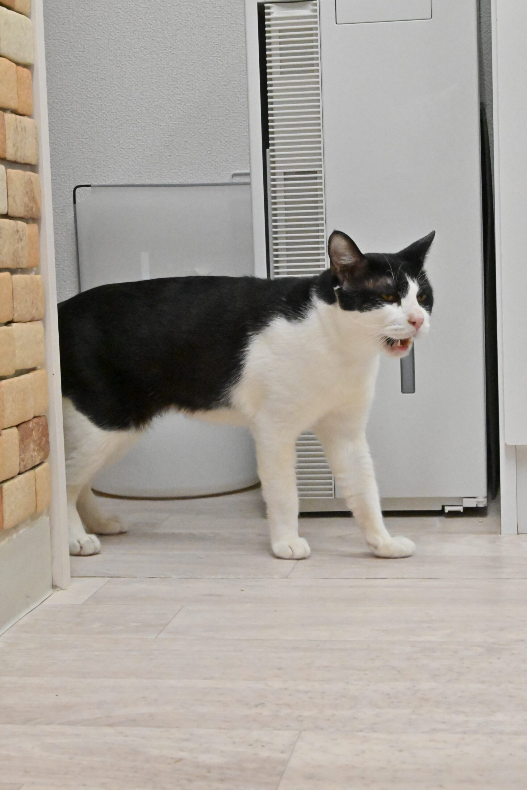 画像 : モノトン【ドーム前店所属】