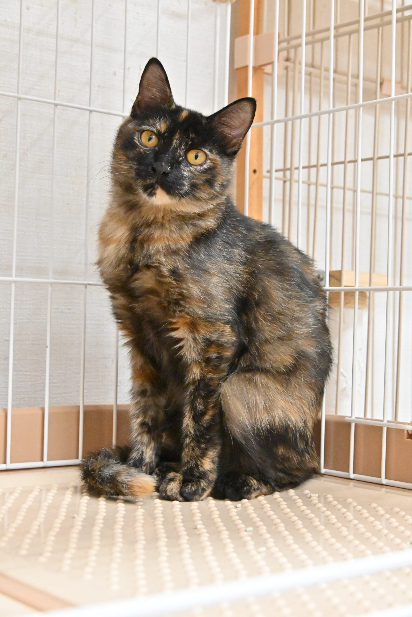 画像 : ラーラ〈ドーム前店所属〉