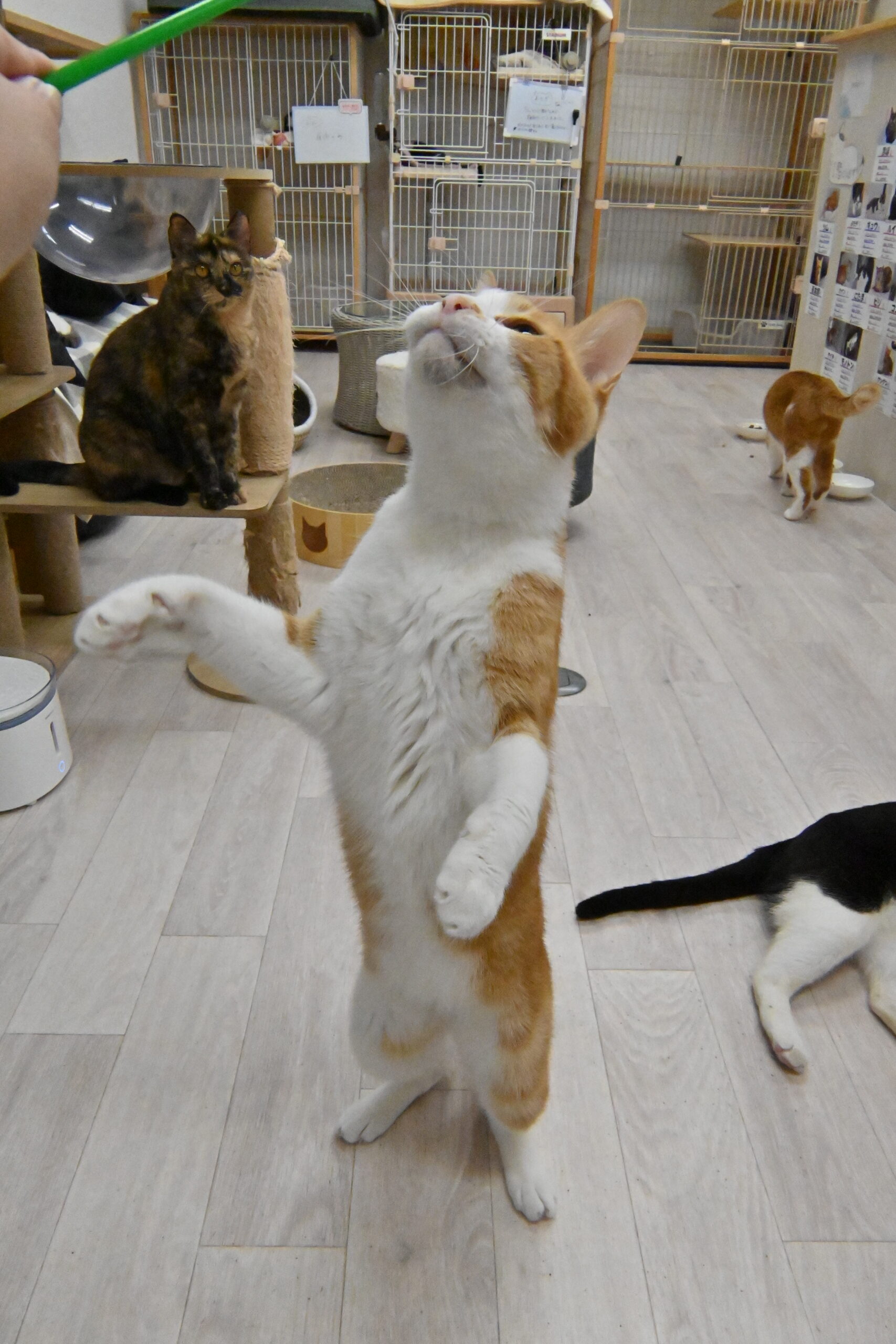 画像 : タイチ〈ドーム前店所属〉