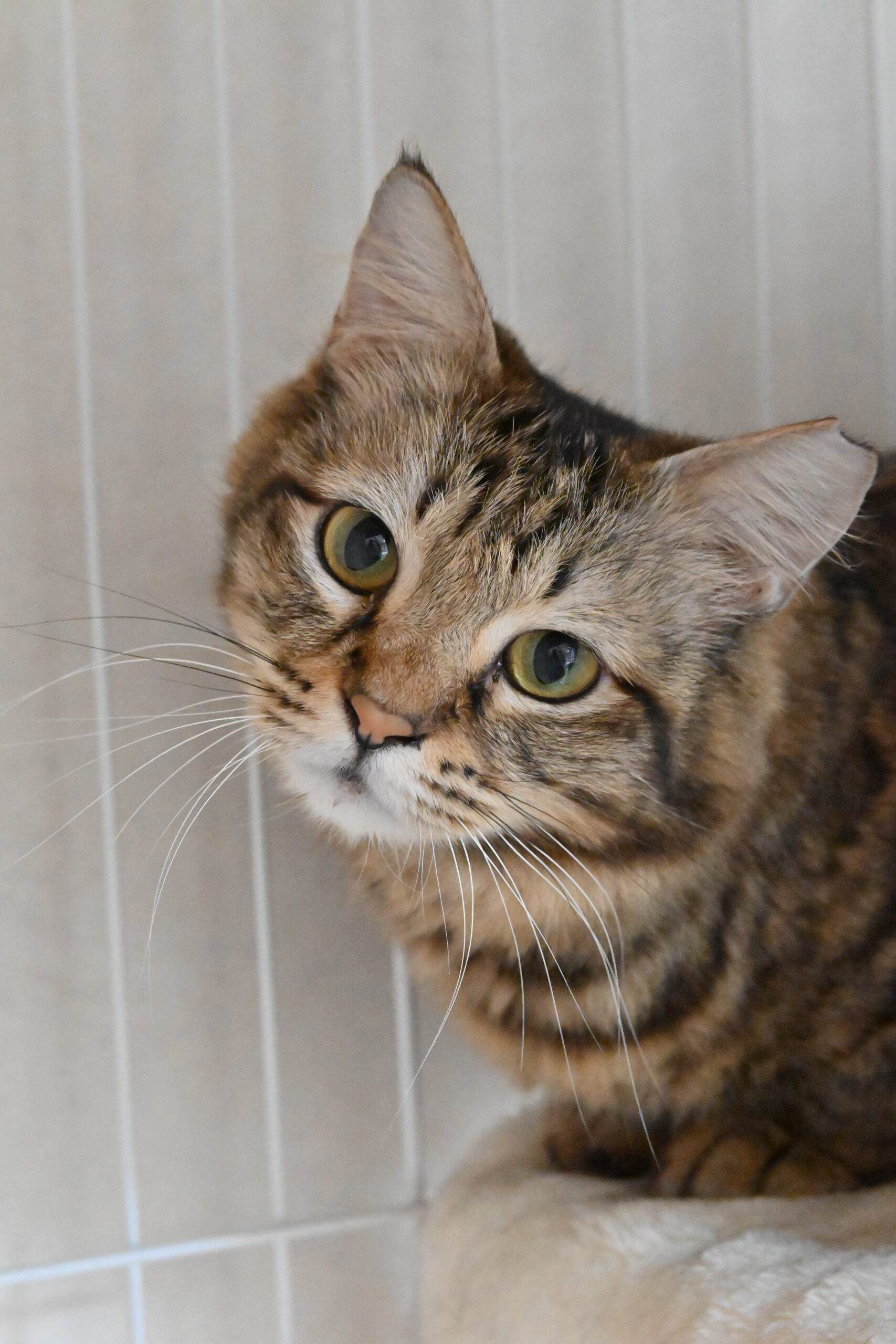 画像 : リリコ〈あべの店所属〉【トライアル中】