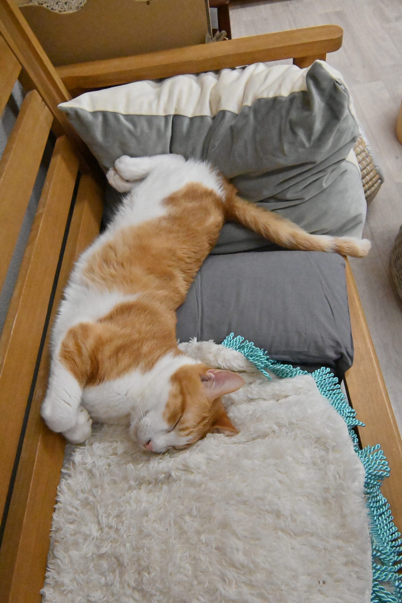 画像 : タイチ〈ドーム前店所属〉