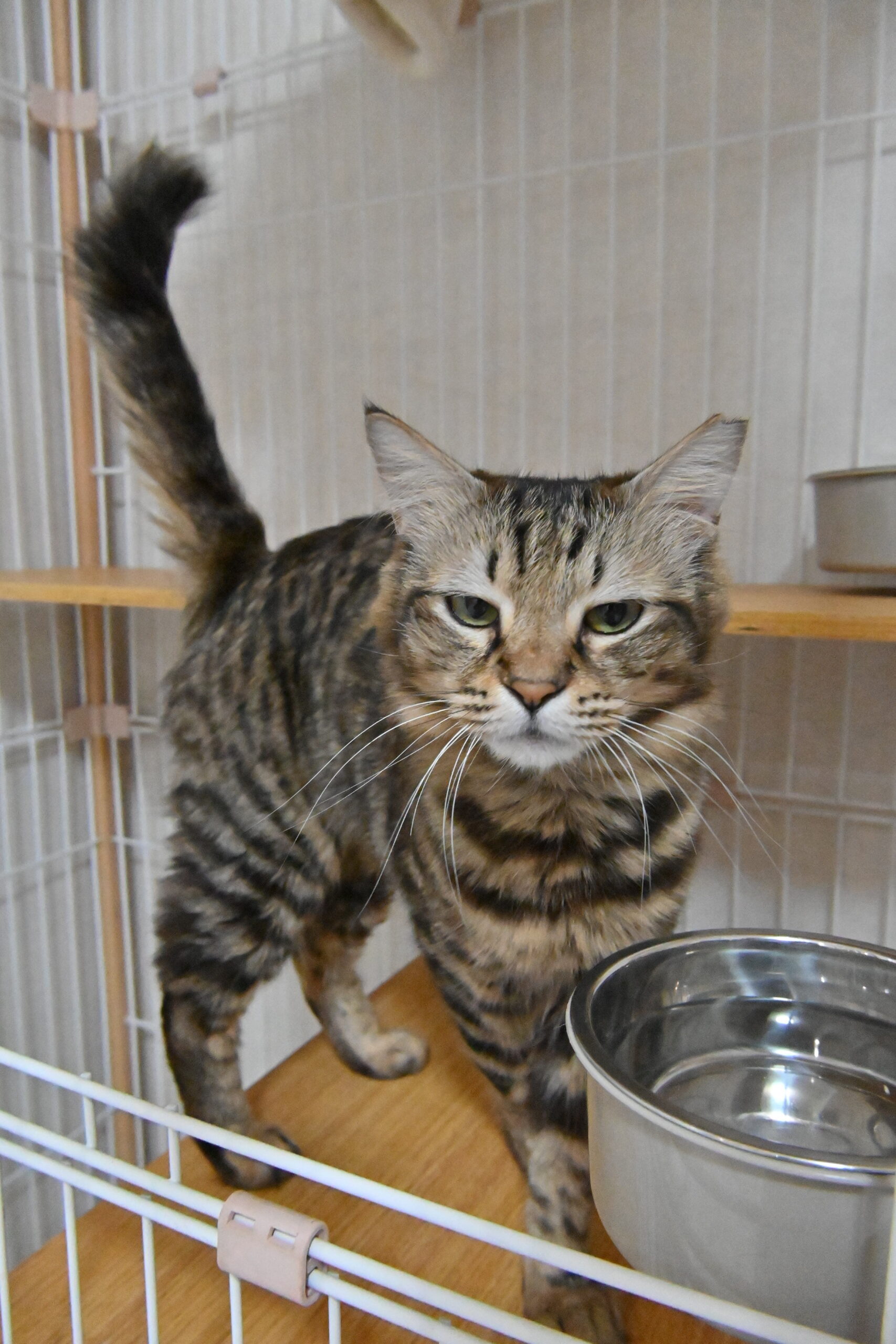 画像 : リリコ〈あべの店所属〉【トライアル中】