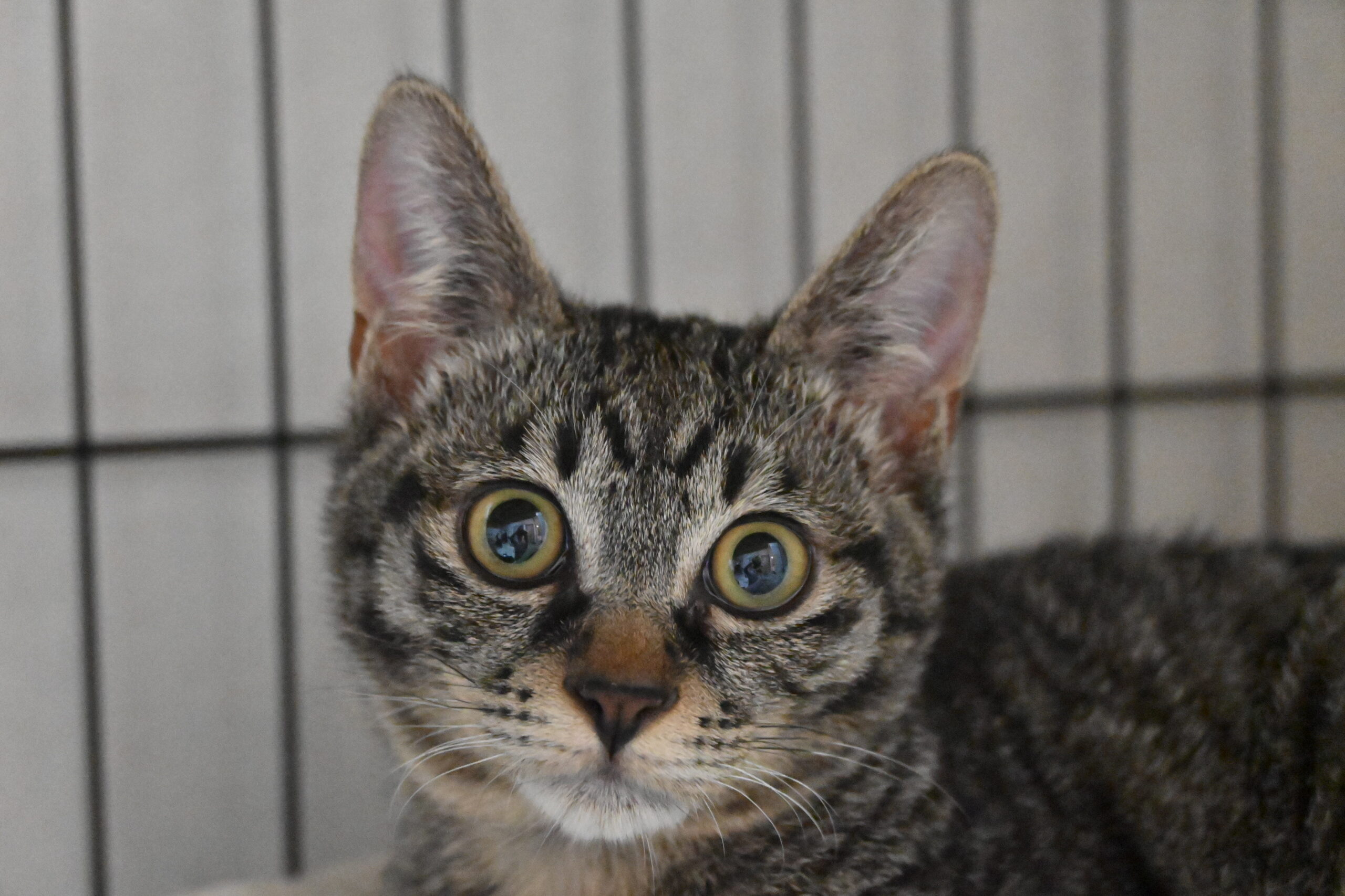 画像 : あむ〈あべの店所属〉