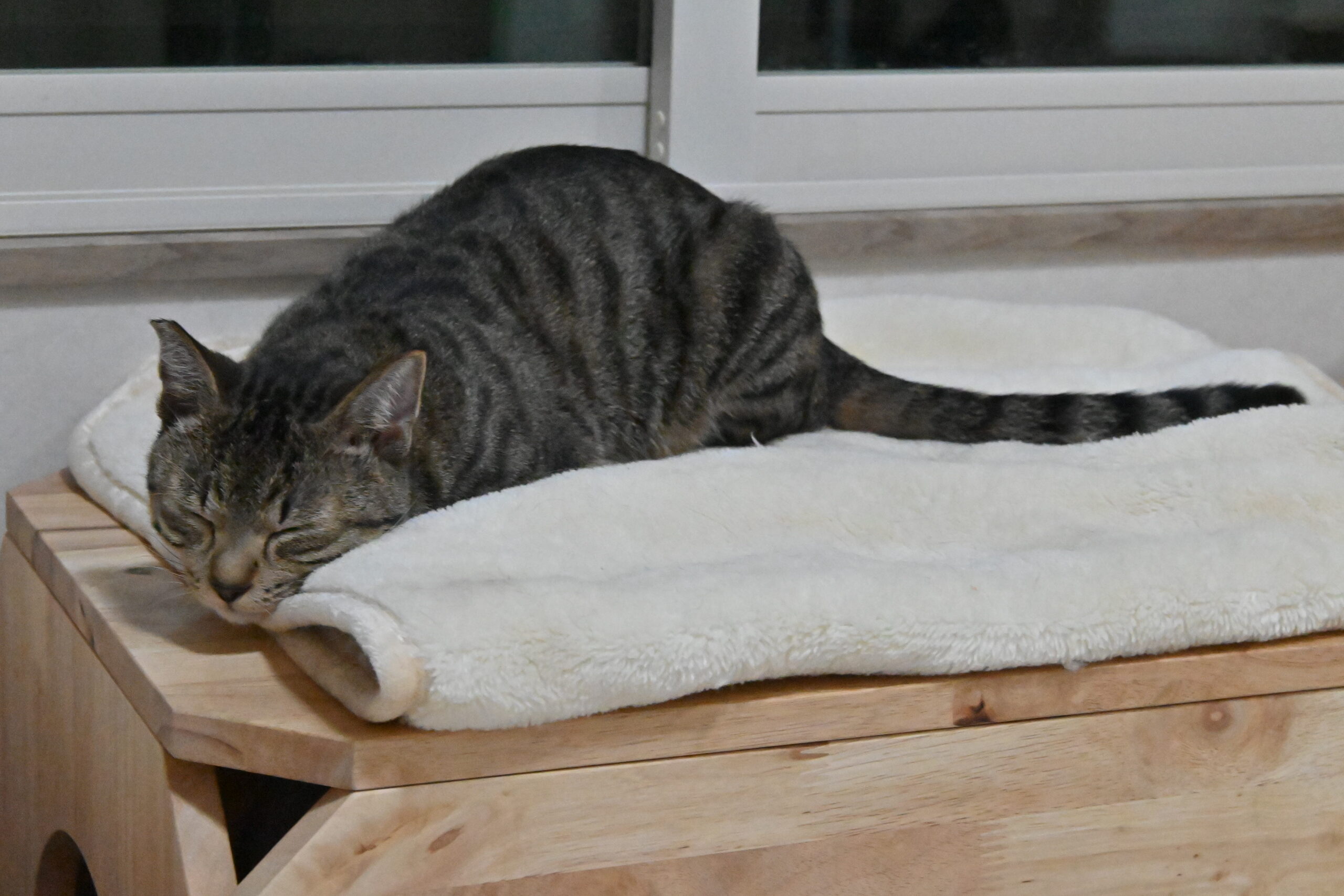 画像 : そう〈あべの店所属〉