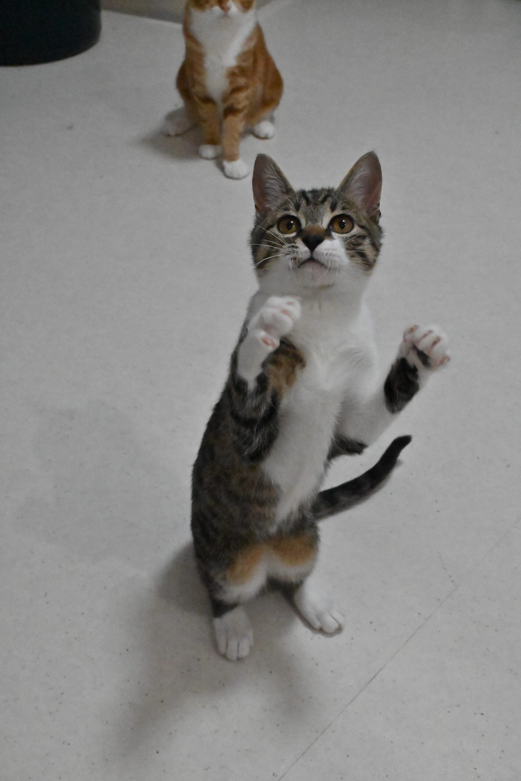 画像 : チル〈あべの店所属〉