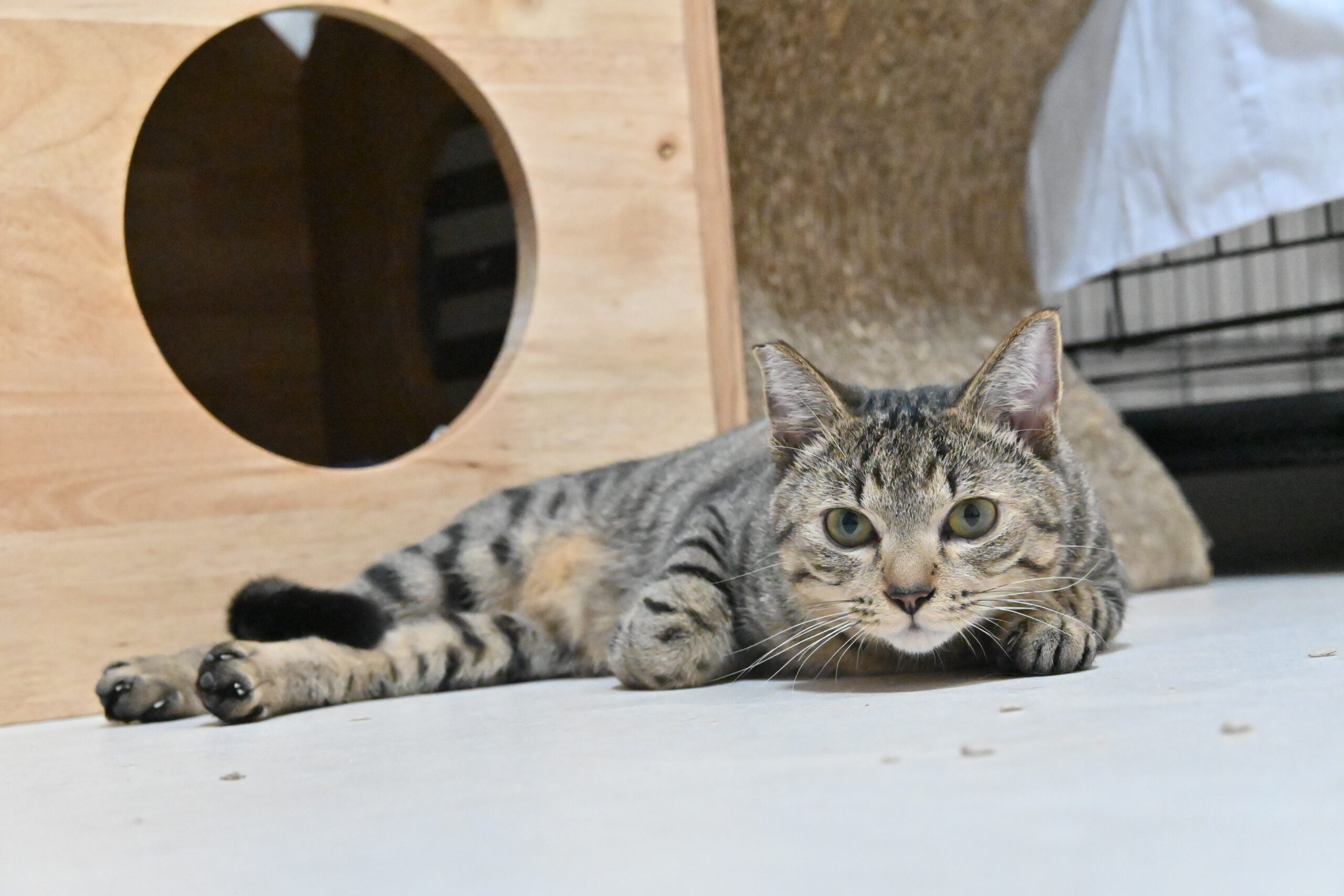 画像 : そう〈あべの店所属〉