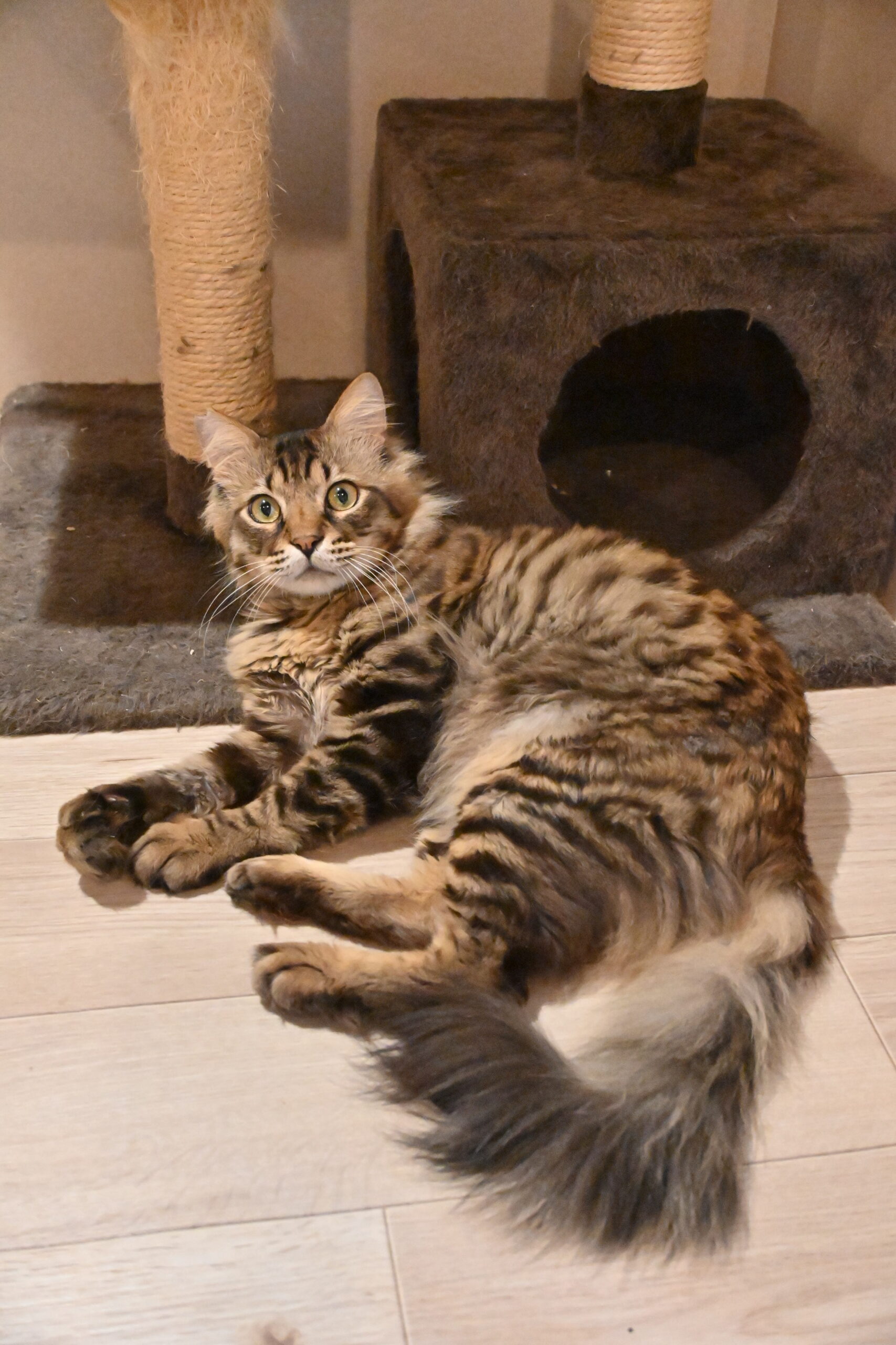 画像 : ムー〈あべの店所属〉