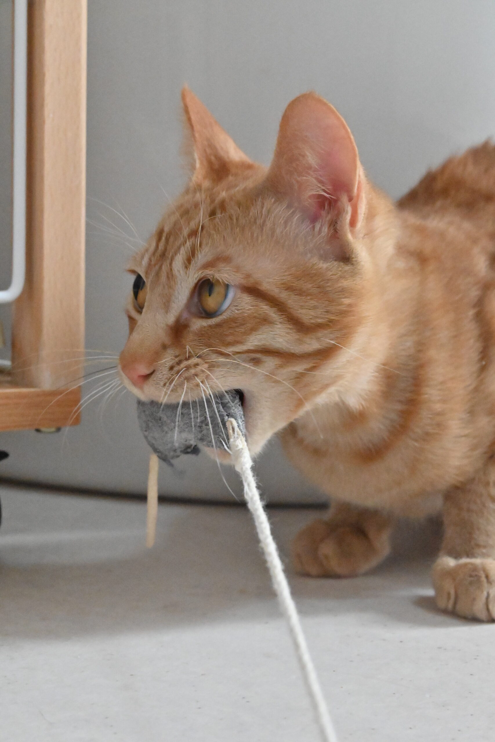 画像 : 隼(syun)〈あべの店所属〉