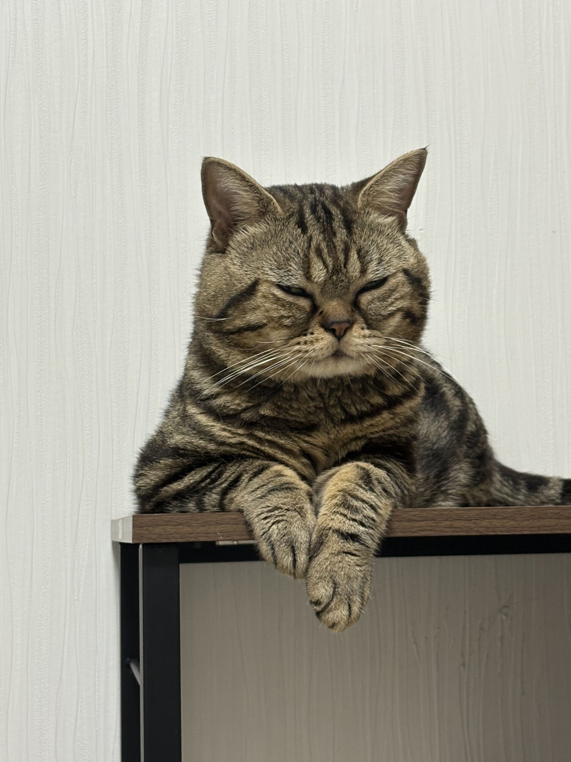 画像 : 雷（らい）〈出張中〉