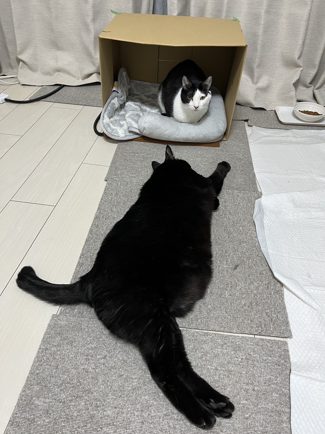 画像 : 西門(nishikado)〈あべの店所属〉