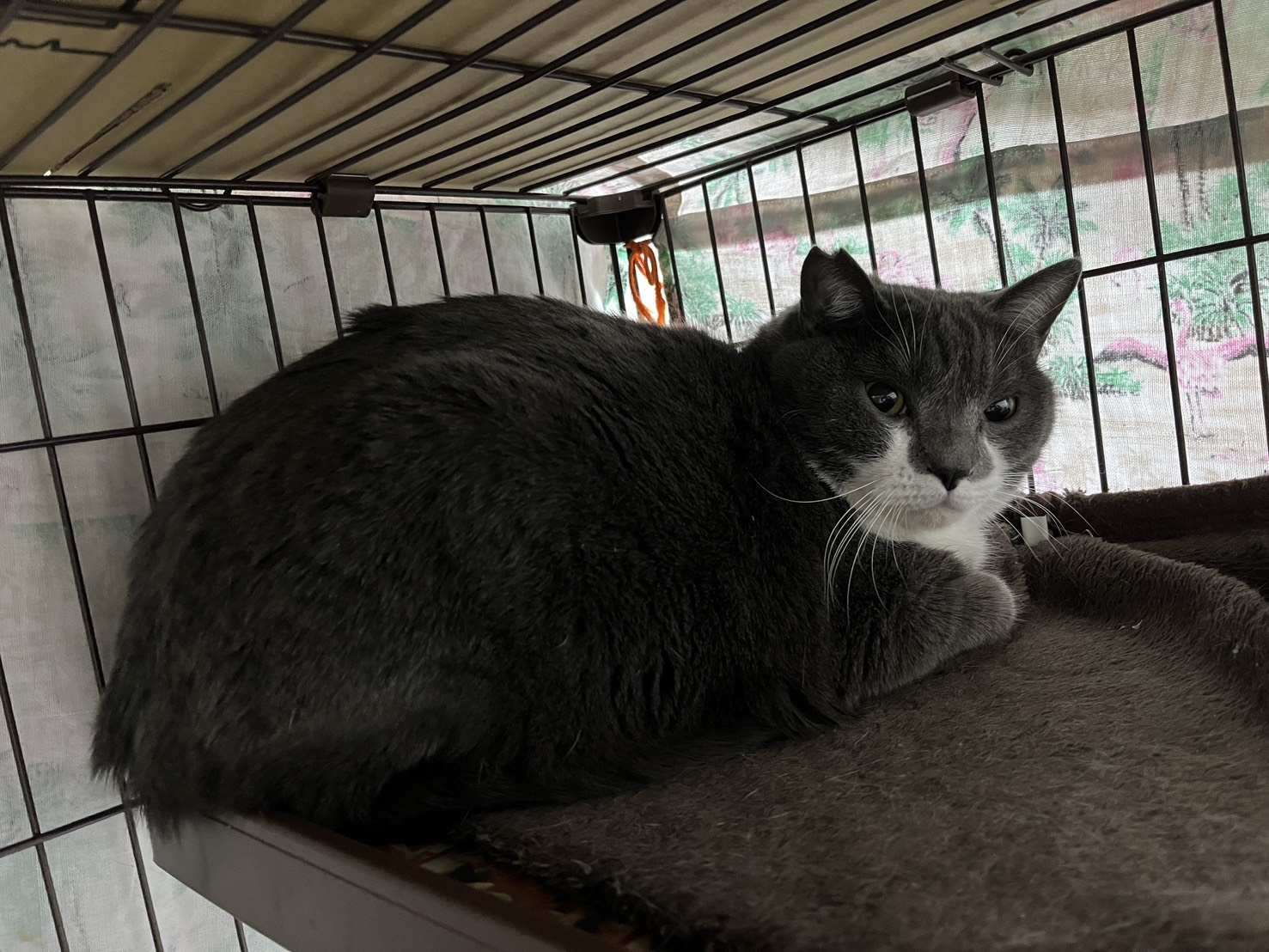 画像 : サニー〈あべの店所属〉