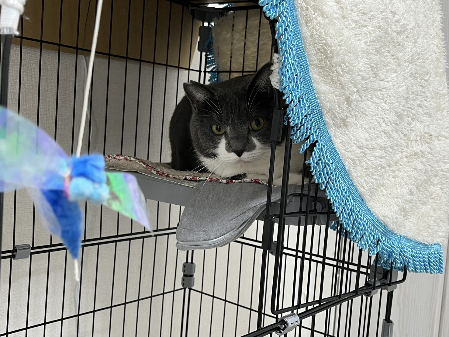 画像 : サニー〈あべの店所属〉