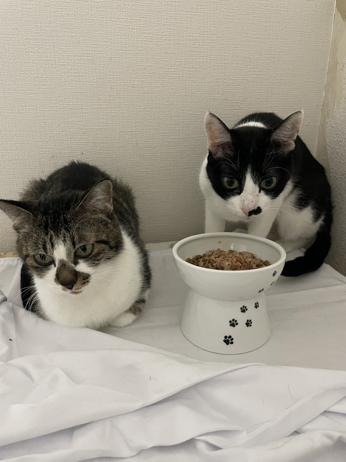 画像 : マハロ【ドーム前店所属】