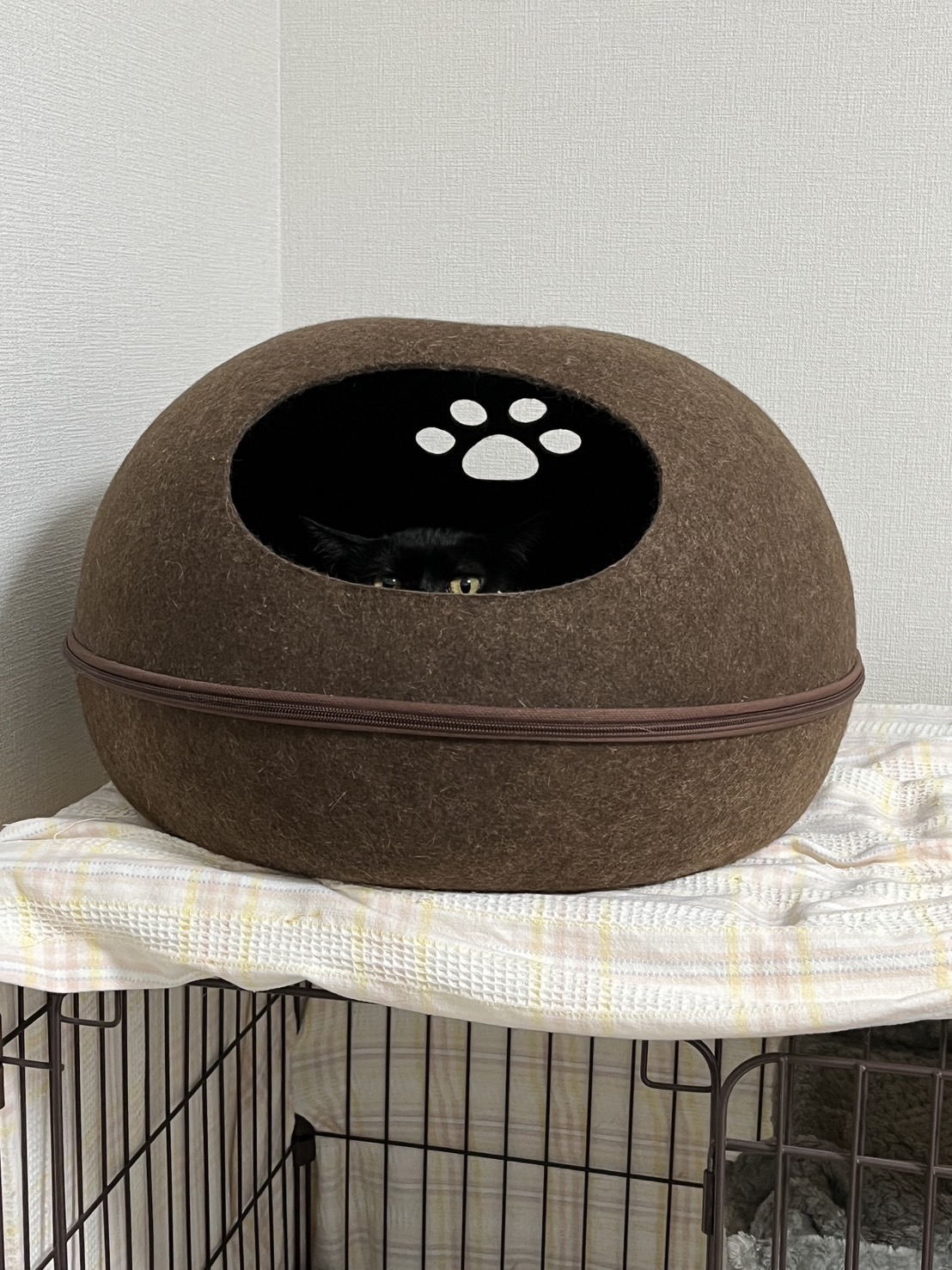 画像 : タンタン〈ドーム前店所属〉