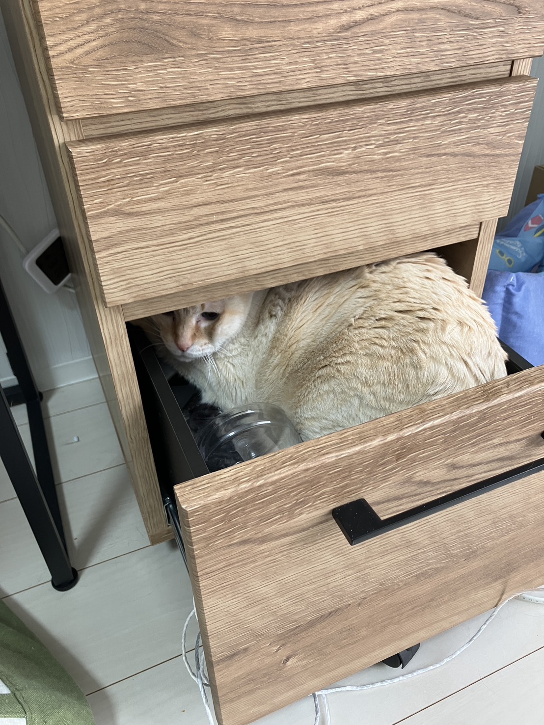 画像 : マリン〈あべの店所属〉