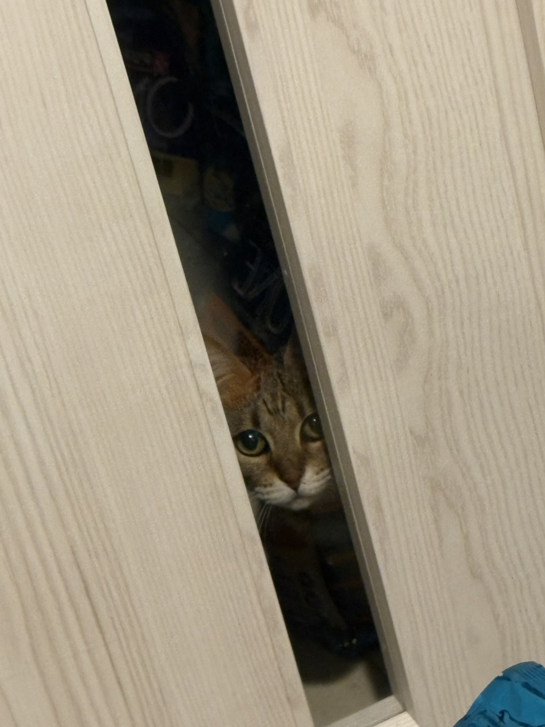 画像 : レナ〈あべの店所属〉