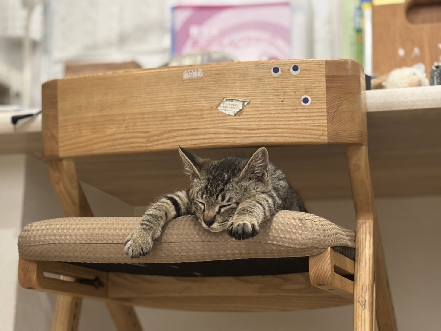 画像 : こつぶ〈あべの店所属〉
