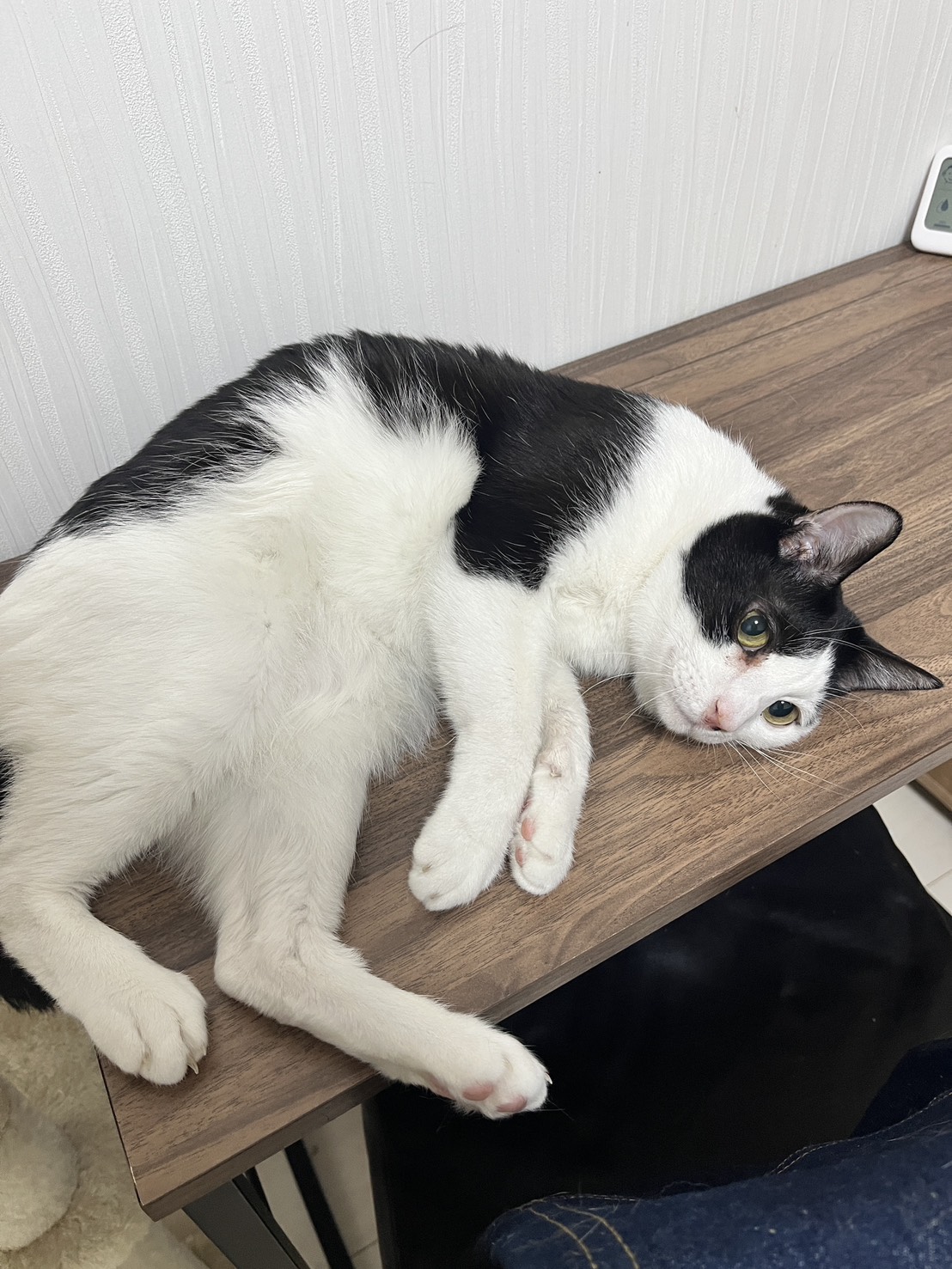 画像 : ムース〈あべの店所属〉