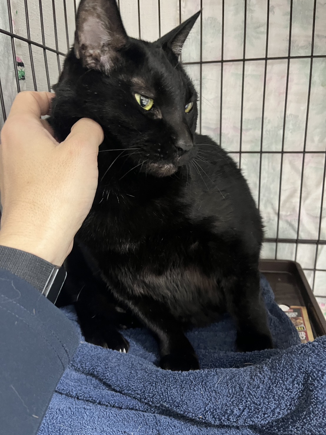 画像 : 西門(nishikado)〈あべの店所属〉